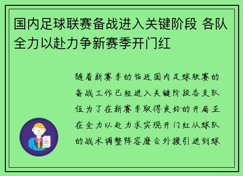 国内足球联赛备战进入关键阶段 各队全力以赴力争新赛季开门红