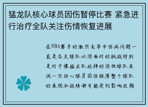 猛龙队核心球员因伤暂停比赛 紧急进行治疗全队关注伤情恢复进展